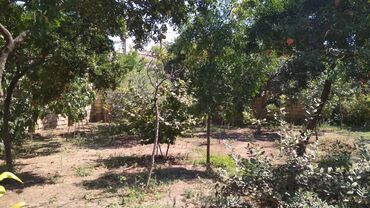 Həyət evləri və villaların satışı: 3 otaqlı, 135 kv. m, Orta təmir — 8