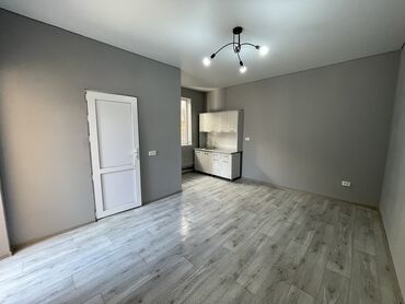 Батирлерди узак мөөнөткө ижарага берүү: Студия, Менчик ээси