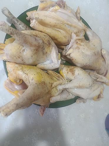 кукуруа: Продаю | Куры | Домашняя | На забой — 8