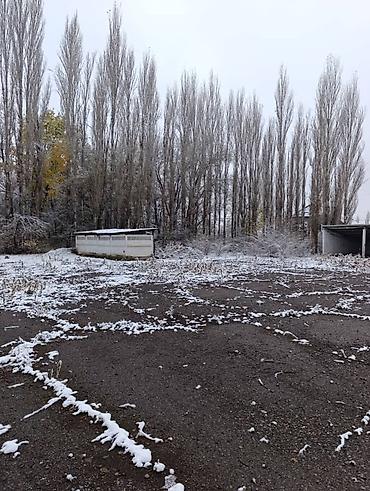 военный вагон: Продаю участок под бизнес. 25 соток красная книга. Хоз постройки более — 10