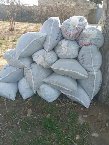 Tinglər: Salam Quru peyin satilir. Kisəsi 2 azn unvan novxanidadir. Ne qeder