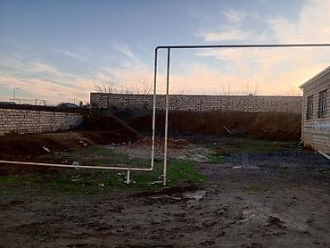 Torpaq sahələrinin satışı: 2 sot, Tikinti, Bələdiyyə -da lalafo.az — 6 Torpaq sahələrinin satışı: 2 sot, Tikinti, Bələdiyyə — 6