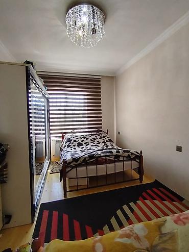 mountain breeze quba: 7 otaqlı, 180 kv. m, Kredit yoxdur, Orta təmir — 6