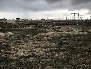 3 sot torpaq satilir: Setka Zambordan ibaret olan torak satıllr 7sot . Ülvan nasosnu — 5