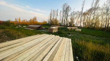 Беседки: Беседка Дерево — 4