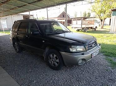 Subaru: Subaru Forester: 2003 г., 2 л, Автомат, Бензин, Универсал — 2