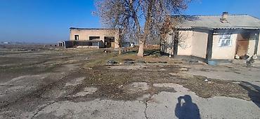 Продажа участков: 23000 соток, Для строительства, Красная книга — 1