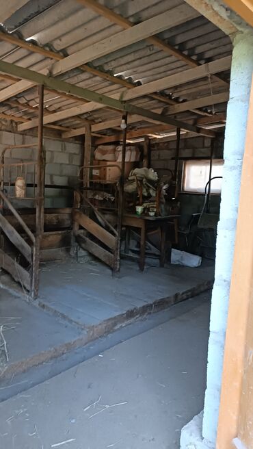 Продажа домов: Дом, 85 м², 6 комнат, Собственник — 6