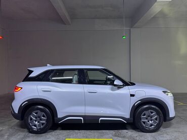 BYD: BYD : 2024 г., 2 л, Автомат, Электромобиль, Кроссовер