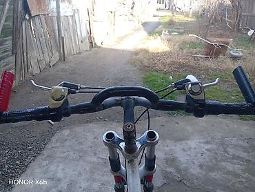 velo disk: Allah alana satana xeyir versin 5 aydı məndədi paçelniklər təzə — 5