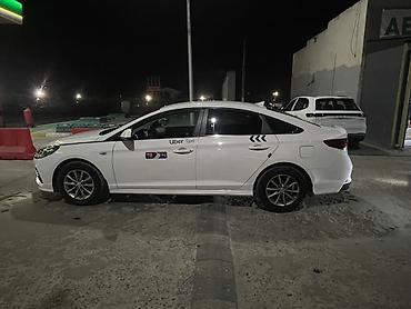 byd l: Hyundai Sonata: 2021 г., 2 л, Автомат, Газ, Седан — 4