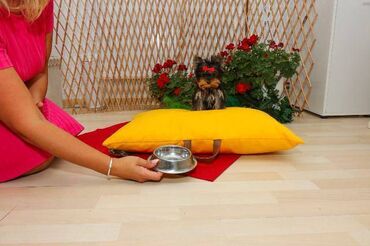 Psi: Yorkshire terijeri (Yorkie) – štenad Na prodaju preslatka štenad mini — 4