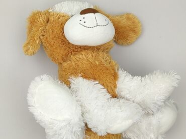 Mascot Dog, condition - Perfect
