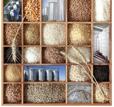 Бочки и ёмкости: Силос Сило Силас Зернохранилище Элеватор Элеваторы Элеватар Элеватары — 7