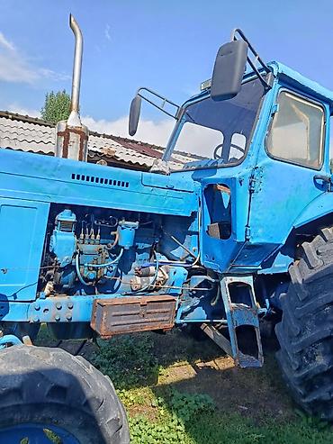 тракто мтз: Трактор МТЗ -80 колесный, с кабиной, синий цвет. Характеристики и — 1