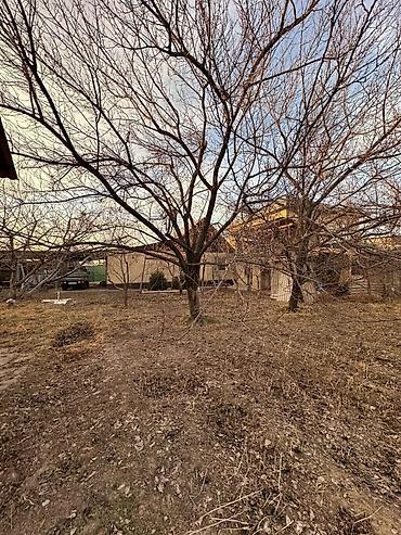 Продажа участков: 8 соток, Для строительства, Договор купли-продажи, Красная книга, Тех паспорт — 7