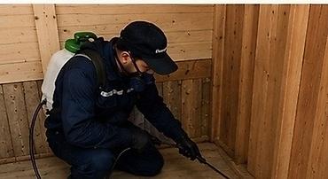 Дезинфекция, дезинсекция: Дезинфекция, дезинсекция, | Клопы, Блохи, Тараканы, | Транспорт, Офисы, Квартиры — 10