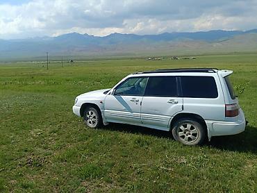 фара оутбек: Subaru Forester: 2000 г., 2 л, Автомат, Бензин, Универсал — 2