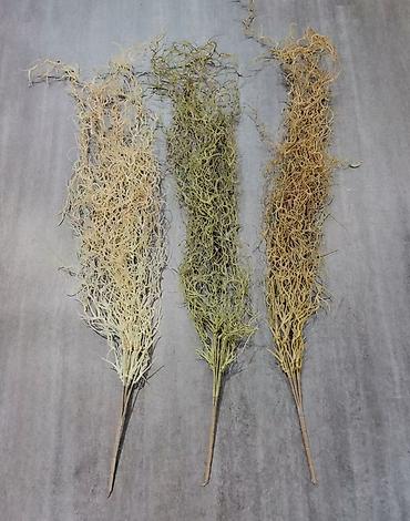 Картины: Искусственные цветы и зелень для декора НА ЗАКАЗ ПРИВИЗУ ОПТОМ ПО — 8