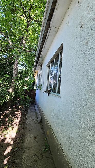 Продажа коттеджей и домов: Продам Дом, в Сокулуке, для семьи с детьми, на тихой, безопасной — 7