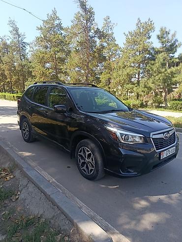 forester 2022: Subaru Forester: 2019 г., 2.5 л, Бензин, Кроссовер — 6