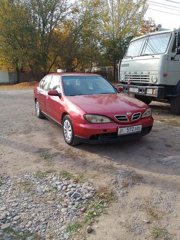 будка рефрижератор купить бу: Nissan Primera: 2000 г., 1.8 л, Механика, Бензин, Седан