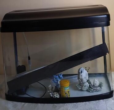 ВАЗ (ЛАДА): *📌akvarium satilir*
*💸qiyməti 100₼*
*📍ünvan TÜRKAN zu90*