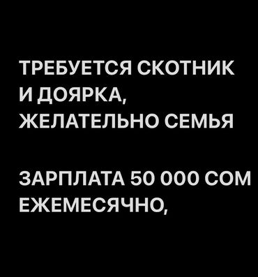 работа врачом по контракту: Требуется Скотник, Оплата Ежемесячно