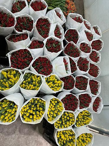 Букеты из живых цветов: Тюльпаны срезанные, сортовые, упакованные партиями. - Палитра — 1