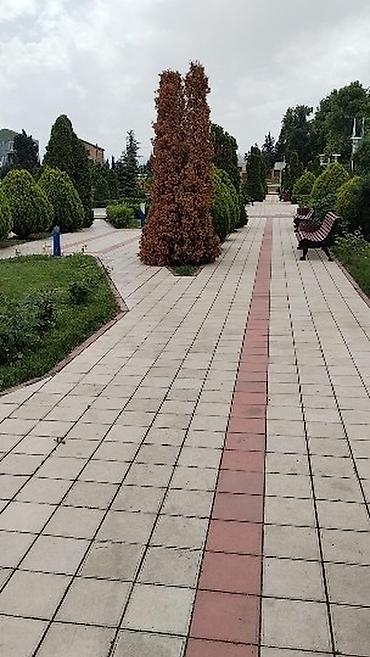 Ford: Ford Focus: 1.6 l | 2013 il 288255 km Hetçbek — 10