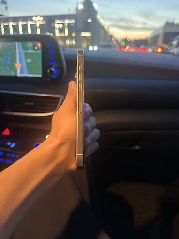 IPhone 16 Pro Max, Б/у, 512 ГБ, Серебристый, Чехол, 89 %