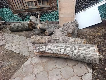 оружейный магазин охотник: Дрова Орех, Самовывоз — 2