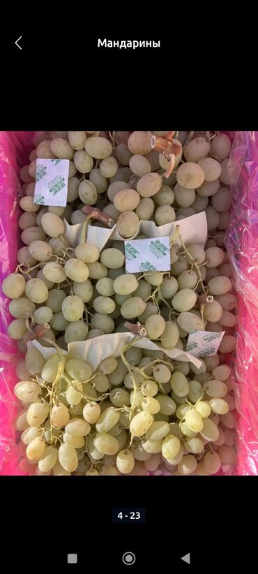 Мандарины: Мандарины Оптом — 7