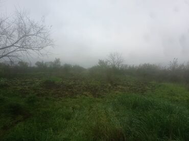 Torpaq sahələrinin satışı: 400 sot, Kənd təsərrüfatı, Maklerlər narahat etməsin — 29