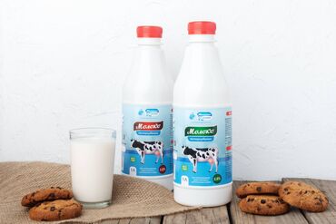 Графические дизайнеры: Графический дизайнер — 16