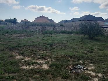 Torpaq sahələrinin satışı: Sabunçu Rayonu ramana südçülük savxozunda əsas yoldan 20 metr kənarda — 2