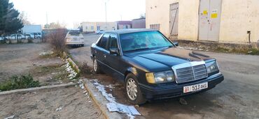 Mercedes-Benz: Mercedes-Benz W124: 1991 г., 2.3 л, Механика, Бензин, Седан