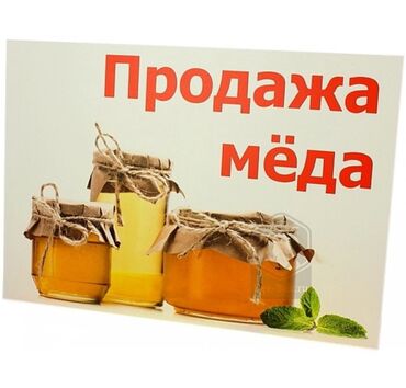купить мёд в бишкеке: Эспарцетовый мёд!