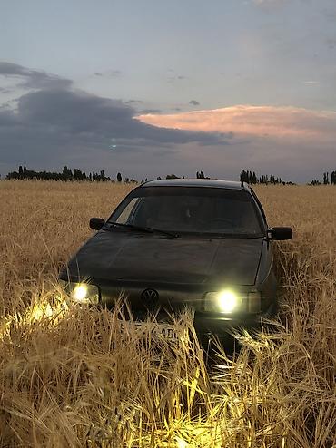 полироль авто: Volkswagen Passat: 1990 г., 1.8 л, Механика, Бензин, Седан — 1