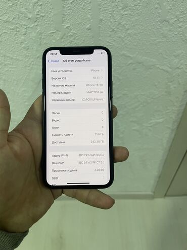 Apple iPhone: IPhone 11 Pro, Б/у, 256 ГБ, Черный, Чехол, 87 %