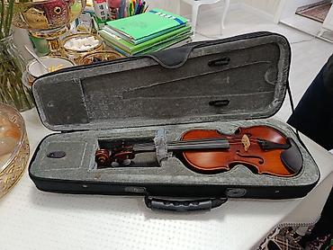 белая скрипка: Скрипка 4/4 в комплекте с жестким чехлом-кейсом. Характеристики и — 1