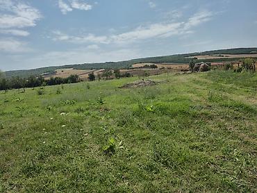 Torpaq sahələrinin satışı: 25 sot, Tikinti, Mülkiyyətçi, Kupça (Çıxarış) — 12