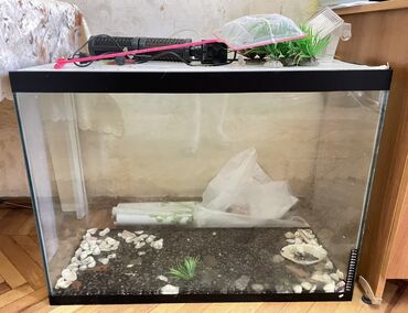 akvarium filteri: Akvarium-şkaf, Boş, 100 l, Ünvandan götürmə