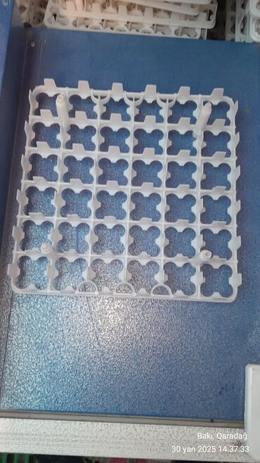 İnkubatorlar: 88 ədədlik toyuq latoq 
ölçü (50 .36) — 7