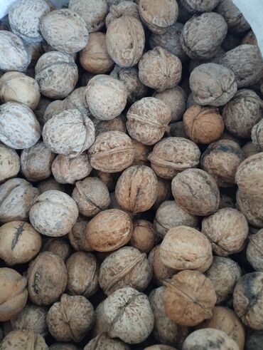 Сухофрукты, орехи, снеки: Орехи грецкие . Без горичи .Торг уместен