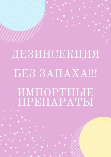 предоставляю транспортную услугу: Дезинфекция, дезинсекция | Клопы, Блохи, Тараканы | Транспорт, Офисы, Квартиры