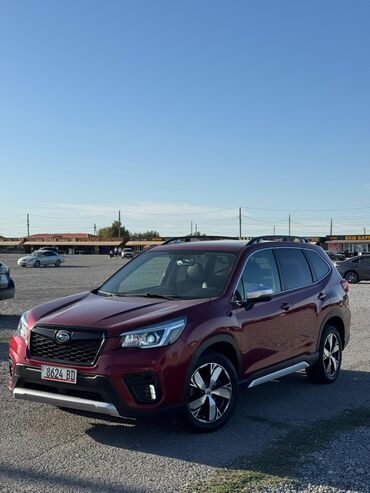 субару форестер 2018: Subaru Forester: 2019 г., 2.5 л, Вариатор, Бензин, Кроссовер