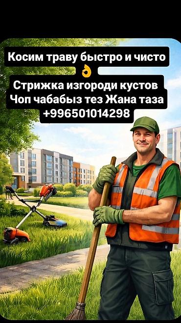 травим: Уборка территории, Стрижка газона — 1
