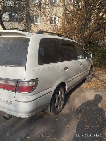 рулевая рейка ниссан сефиро: Nissan Presage: 1998 г., 2.4 л, Автомат, Бензин, Минивэн