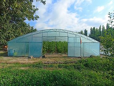 теплицы под ключ: Теплица туннельного типа 10×32 м, высота в коньке около 3 м — 3
